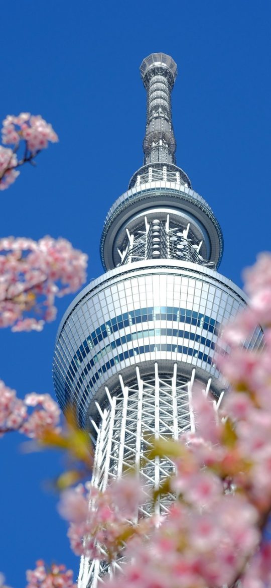 樱花联机协作清单界面截图，浅沙色背景上一列可勾选条目，右侧显示认领人头像与最后修改时间
